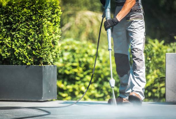 Best Sidewalk and Walkway Cleaning  in Dunlap, TN